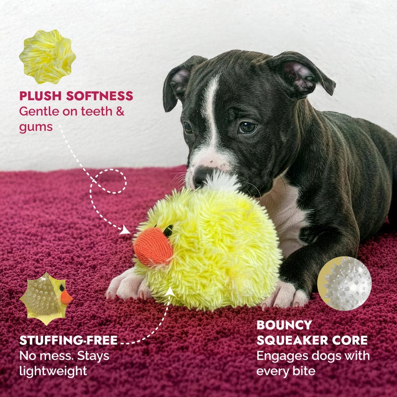 Pet Lou DOG'Z 4 Inch EZ Squeaky Chick Dog Plush Toy, Stuffing-Free Soft Plush, Durable Bouncy Squeaker Ball, Floats in Water, for Small & Medium Dogs, Yellow - Image 2